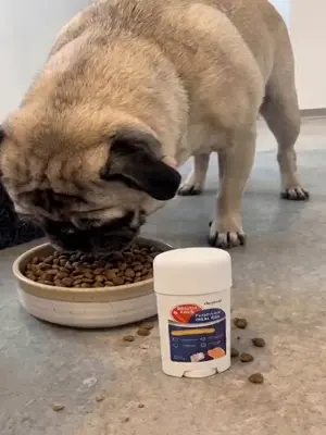 The gel coating dog teeth